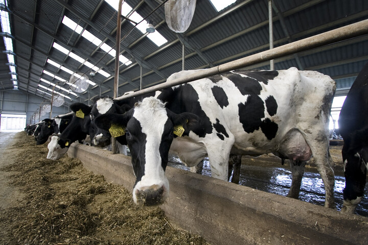 Célzott nemzeti támogatás a termelőknek