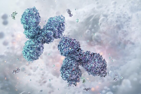 Ezért élnek rövidebb ideig a férfiak