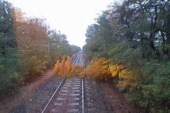 Késnek a vonatok, erős szélre figyelmeztet a katasztrófavédelem