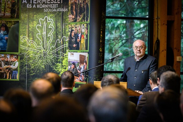 Nem csak a klímaváltozás dönt az erdők sorsáról