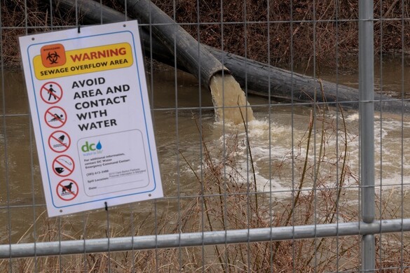 Donald Trump elnök szövetségi beavatkozást rendelt el