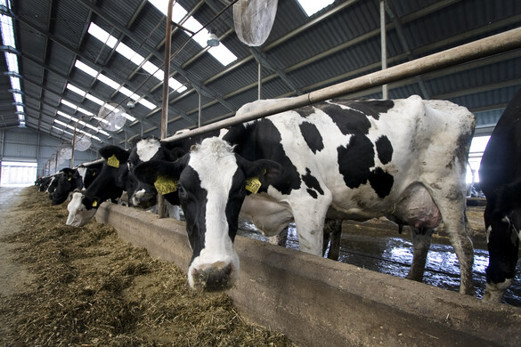 Célzott nemzeti támogatás a termelőknek