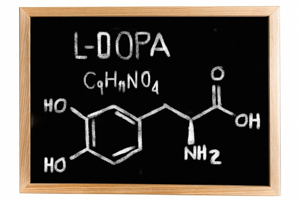 Az L-DOPA kémiai összetétele.
