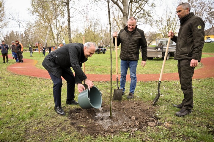 Elindult a településfásítási program tavaszi ültetési időszaka