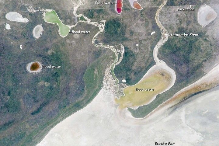 Az Etosha Pan – egy hatalmas kiszáradt tó Namíbia északi részén