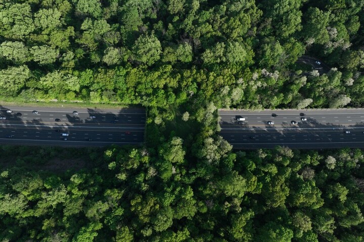 4,3 millió eurós „zöld híd” segít a varangyoknak