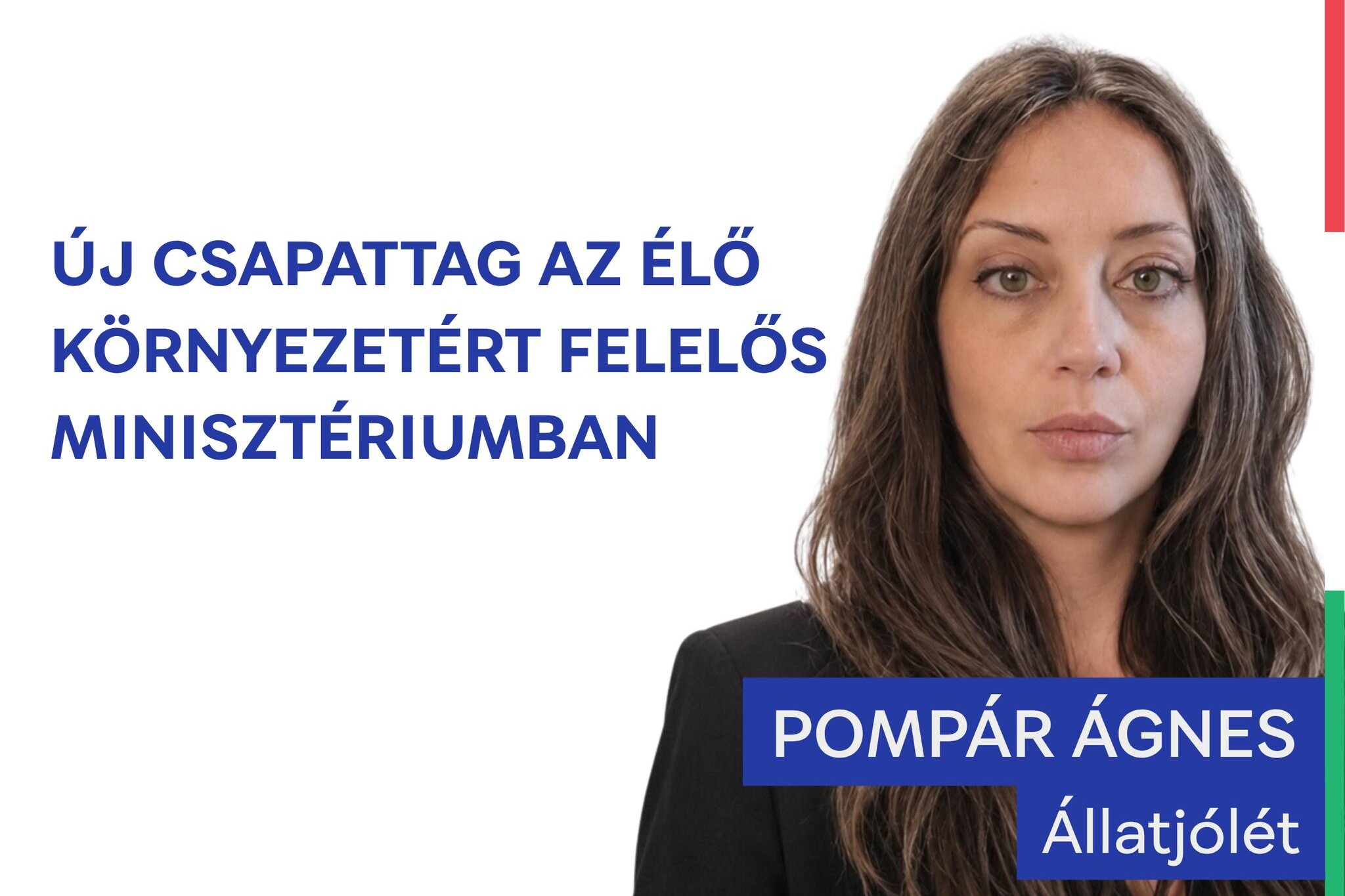 Cikk borítókép