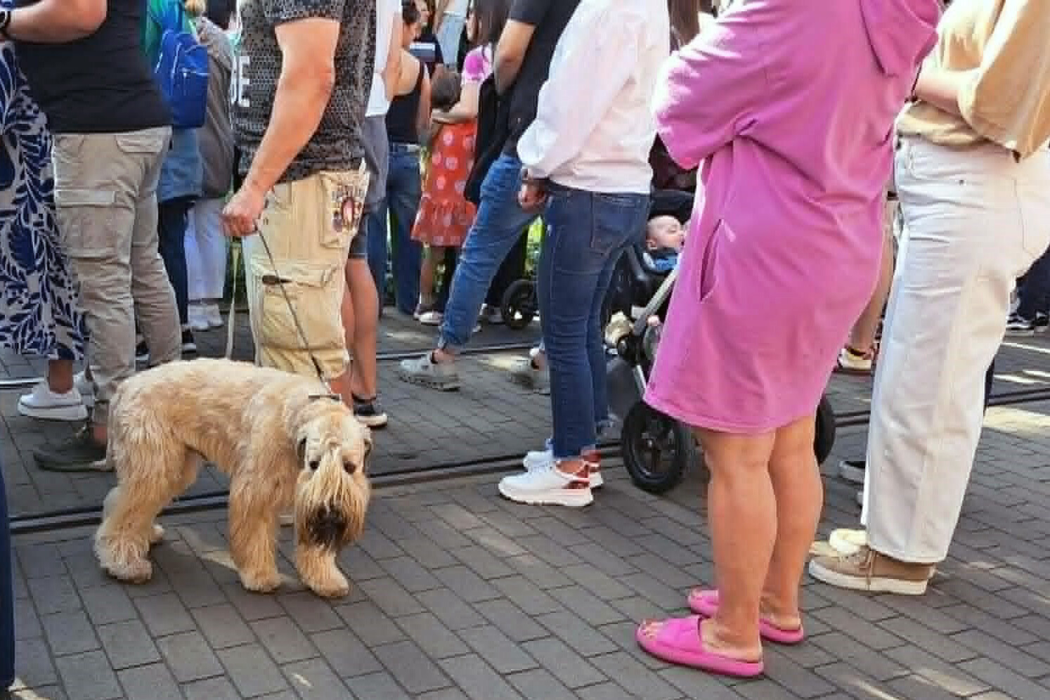 Budapest, Kossuth tér – rendszerváltó népünnepély