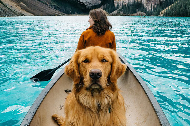 Ember kutyáját epikus kalandokra viszi, bebizonyítva, hogy a kutyák a legjobb útitársak... Ez itt Aspen, egy coloradói golden retriever, aki bebizonyítja, hogy a kutyák nemcsak az ember legjobb barátai, hanem a legjobb útitársak is...