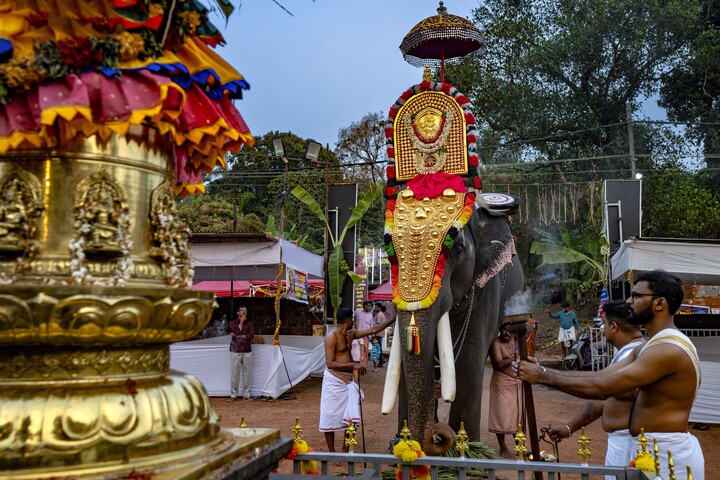 Fotó: Hemis via AFP/Frilet Patrick Egy elefánt őrjöngésbe kezdett egy hindu templomban + VIDEÓ