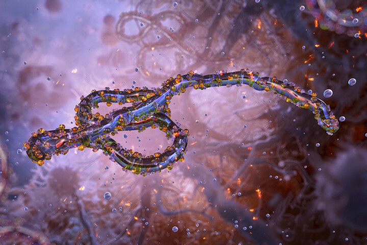 Fotó: Science Photo Library via AFP/Ruslanas Baranauskas Ebola-vészhelyzet: Amit tudunk erről a halálos járványról