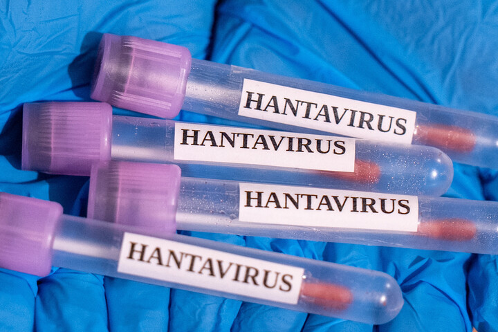 Szerbiában is megjelent a hantavírus