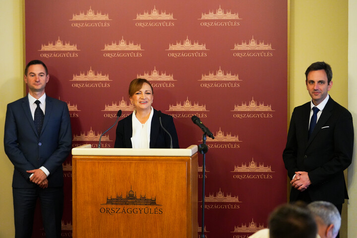 Fotó: MH/Radics Lajos A Tisza bizottságokkal tisztázná a botrányokat