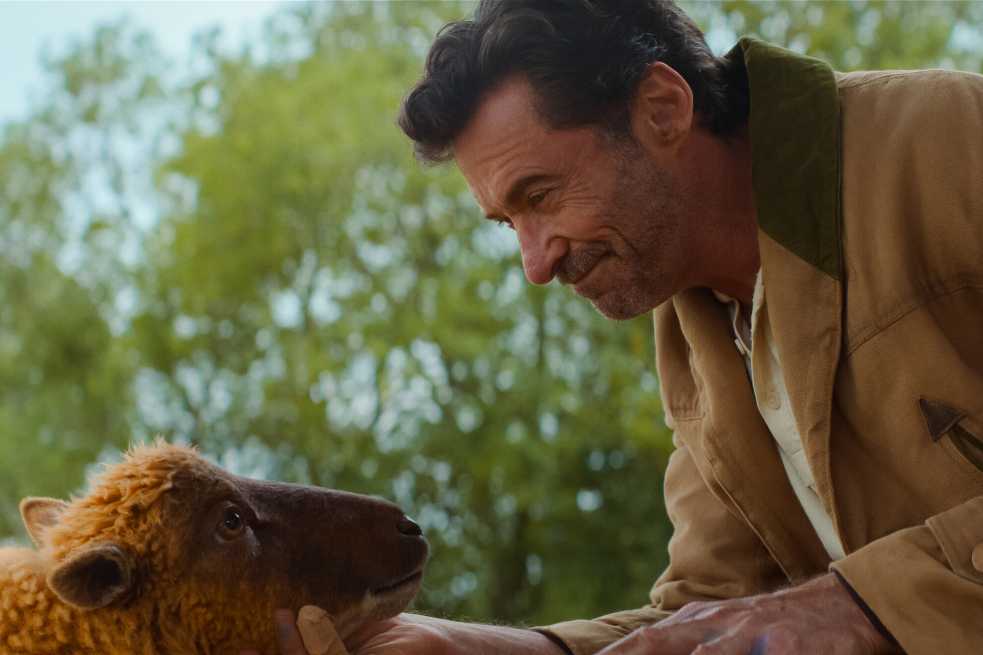 Lily, a shetlandi juh és Hugh Jackman George Hardy szerepében