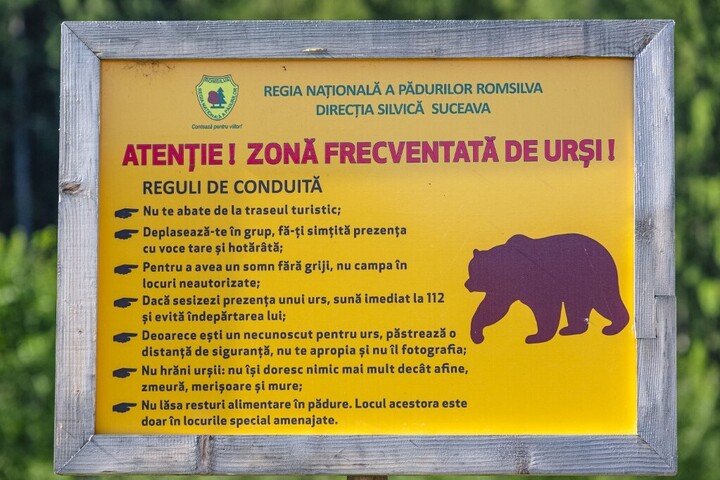 Fotó: AFP/Hermis/Guiziou Franck Keményen büntetik a medvéket etető turistákat