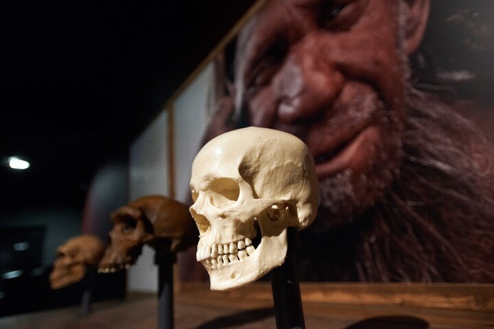 Fotó: AFP/NurPhoto/Alain Pitton Az „Ördögtornyú gyermek” neandervölgyi koponya mindent megváltoztatott