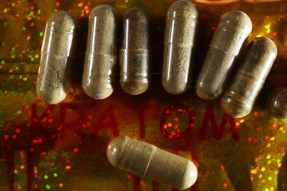 Mintegy 800 kilogramm illegális terjesztésre szánt