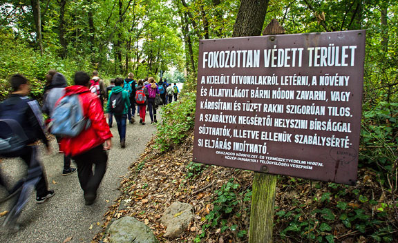 Forrás: mh kirándulók 20141022