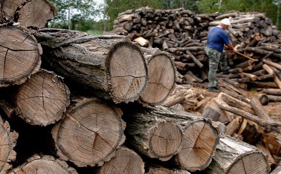 Megnövekedhetnek a visszaélések a tűzifa-vásárlásoknál