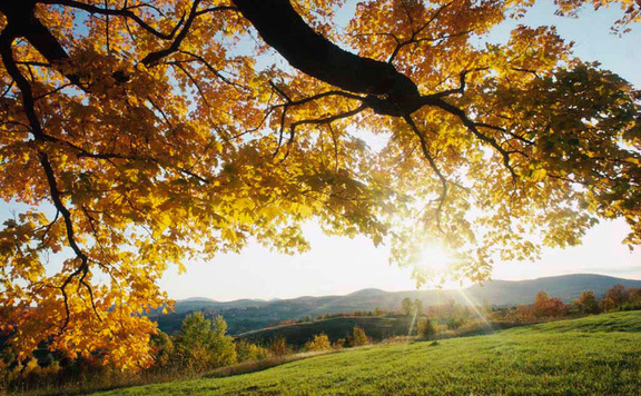 Nyárias meleg után lehűlés várható a hétvégén