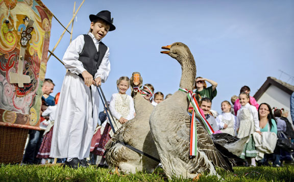 liba 20141111