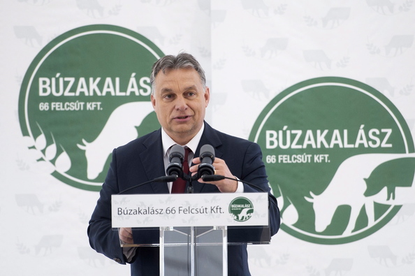 Forrás: mh Orbán Felcsút mangalica telep 2