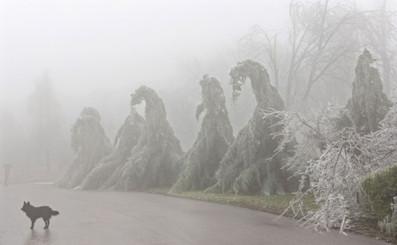 Forrás: mh ónos eső 20141203