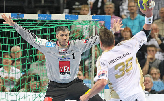Forrás: mh Fazekas Nándor 20150103