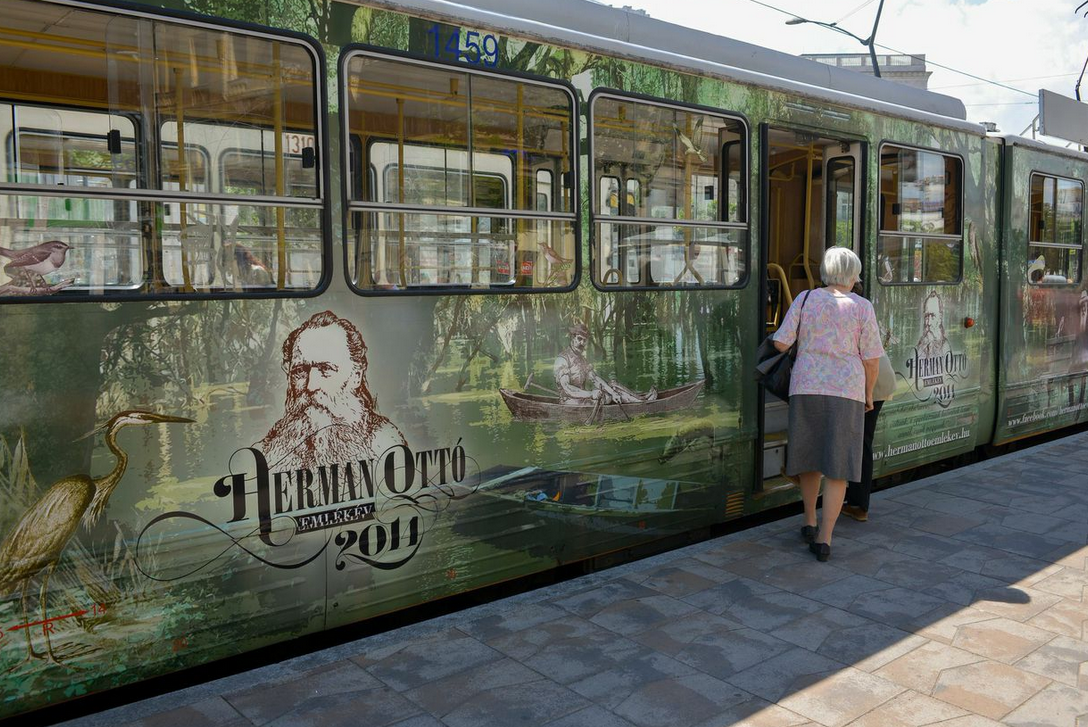 hermann ottó nagíy