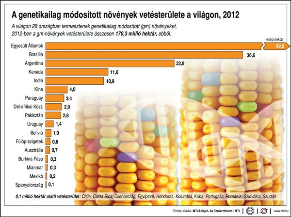 gmo