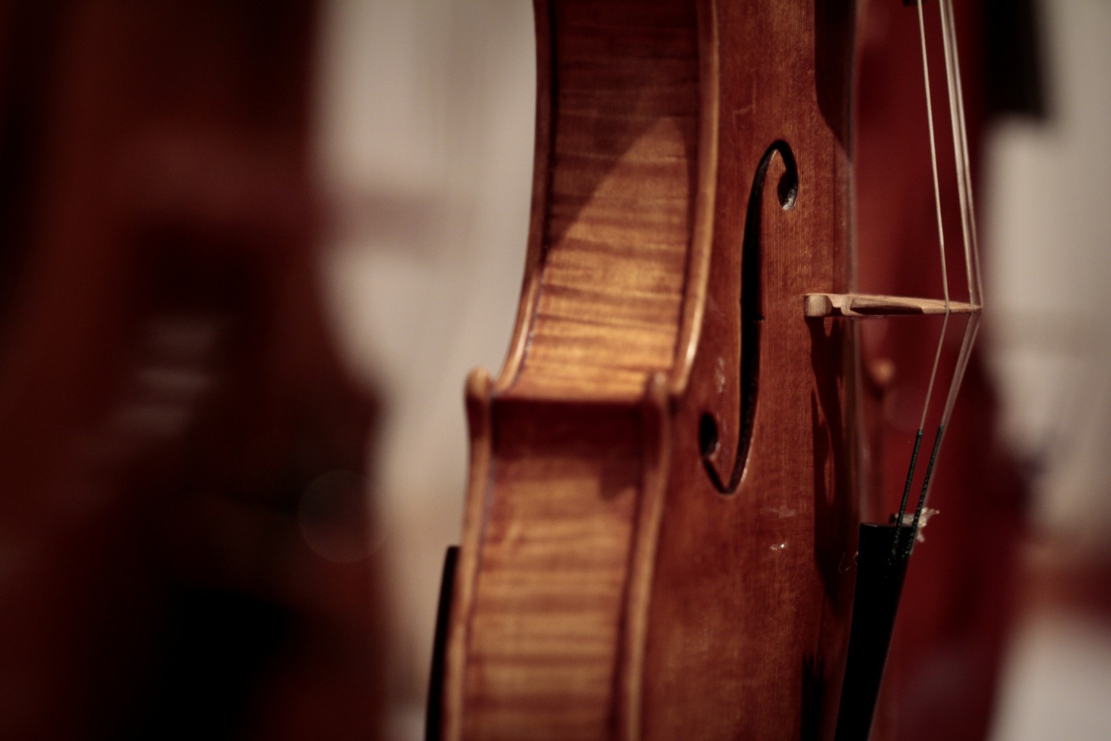 Wine and violin