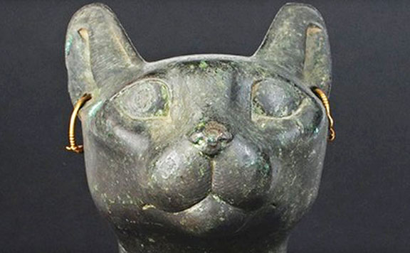 12-o-cat