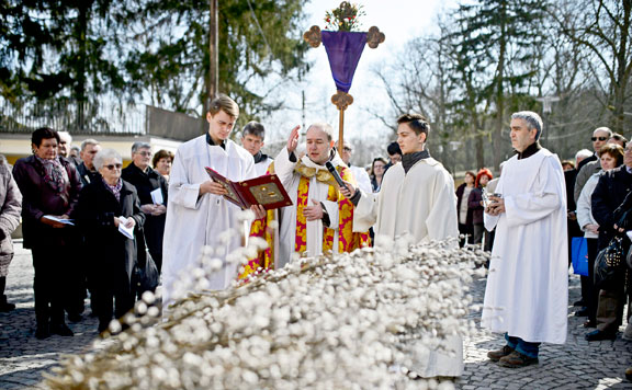 Virágvasárnap 20150330