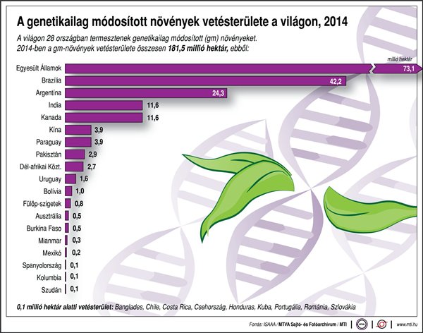 gmo-grafikon