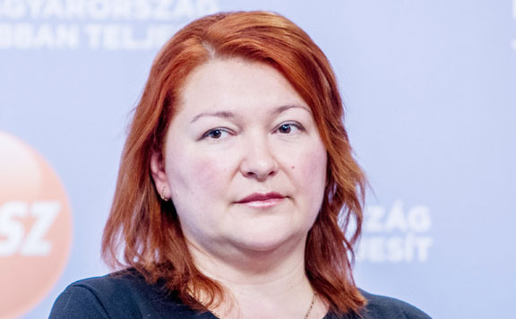 bocskor