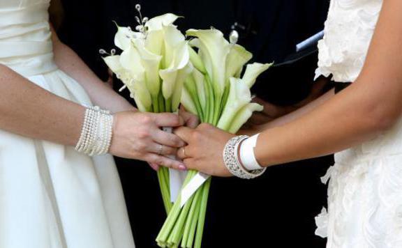 azonos nemű házasság lead