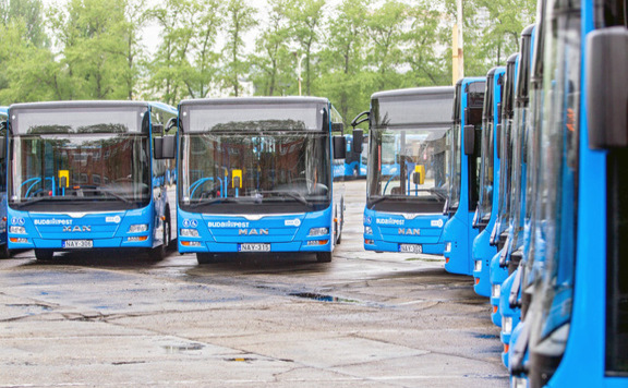 lead buszok