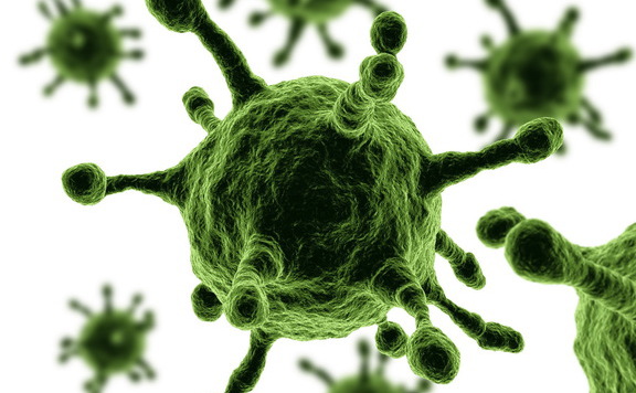 mers576