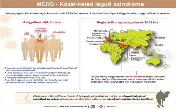 mers_infograf576