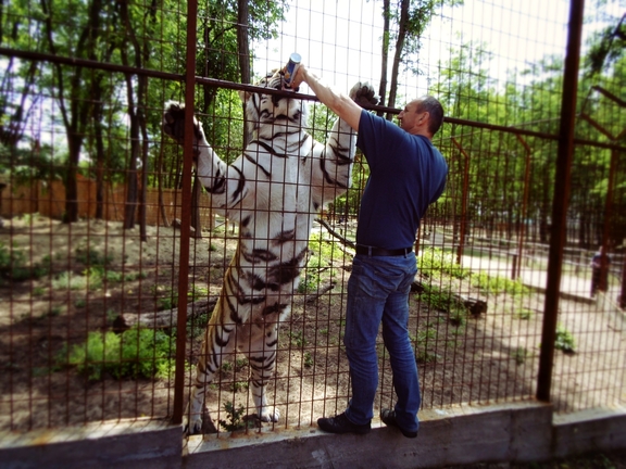 Magán Zoo kedvencei