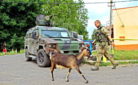 ukrán nemzeti gárda 20150714