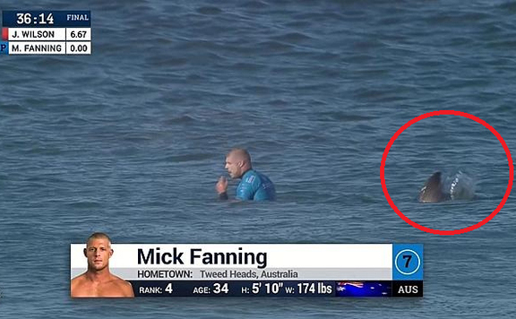 fanning576