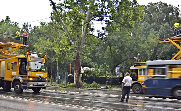 Múzeum körút 20150726