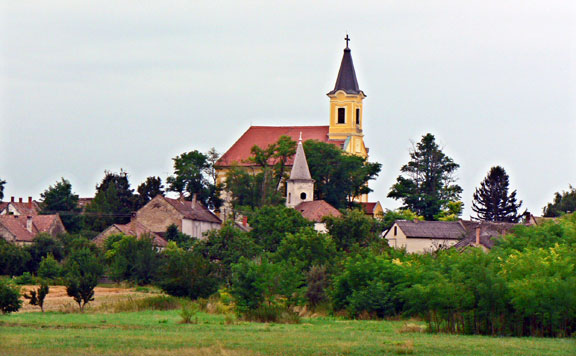 Szerecseny 20150822