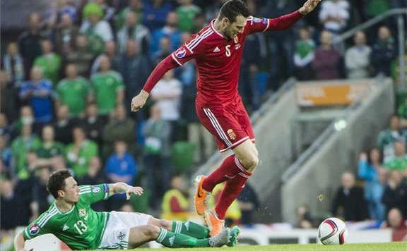 északír-magyar lead