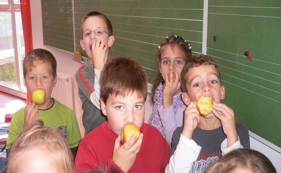 Iskolagyümölcs program