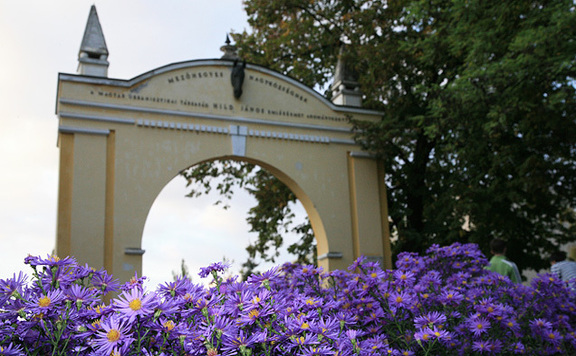 mezőhegyesiménesbirtok kapu576x356