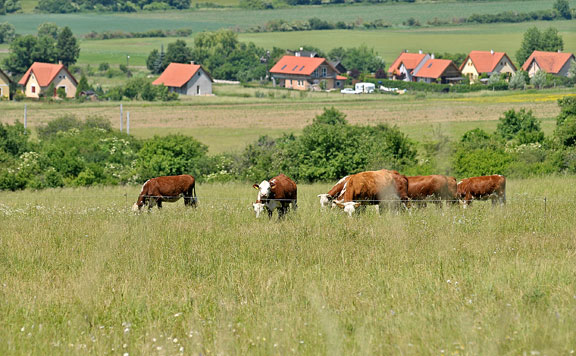 föld haszonbérlet 20151215