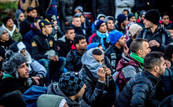 Migrans