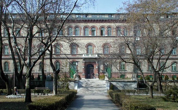 testnevelésiegyetem576